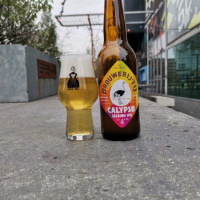 Wizzair Flight To Eindhoven W6 1825 Comida