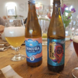 Ostoja Chobienice Dania