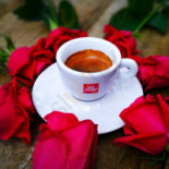 Sosnowa Cafe Dania