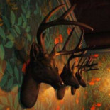 Upojeni Multitap Carta