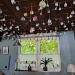 Charlotte Cafe Dania