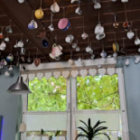 Charlotte Cafe Dania