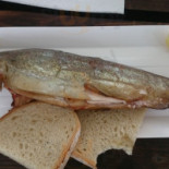 Pstrąg Ojcowski food