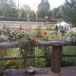 Chata Wiejska Nourriture