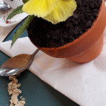 Książęca Nourriture