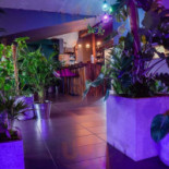 Dżungla À l'intérieur