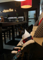 Japan Sun Sushi Grill Comida