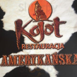 Kojot Amerykańska Dania