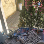 Café Pizza Italiana Dania