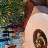 Pescado Dania