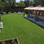 Moss À l'intérieur