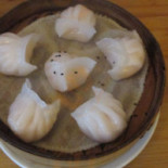 Asian Fyrtel Dania