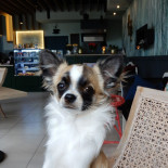 Eska Cafe Nourriture