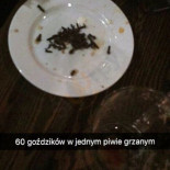 Pizzeria Z Nowolipek Wewnątrz