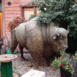 Gospoda Zalewajka food