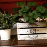 Biesiadowo À l'intérieur