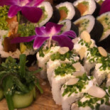 Nova Sushi Dania