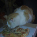 Wypas Pizza Dania