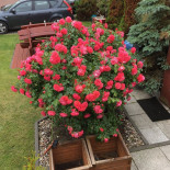 Swiat Lodow Exterior