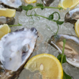 Winiarnia Terra Mare Nourriture