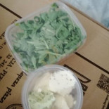 Pod Drewnianym Bocianem Essen