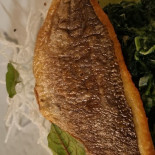 Farina Dania