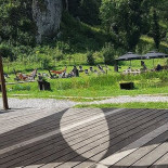 Pstrąg Ojcowski Extérieur