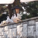 Karczma U Klagów Extérieur