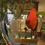 Smazalnia Ryb Exterior