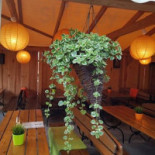 Pod Brzoza À l'intérieur