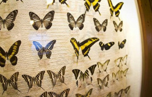 Biblioteka À l'intérieur