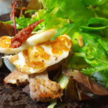 Ricco Gusto Trattoria Dania