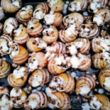 Bistro Ślimaka Comida