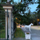 Park Cafe Na zewnątrz