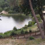 Widok Dania