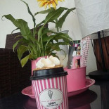 Lody Naturalne Na Placu Dania