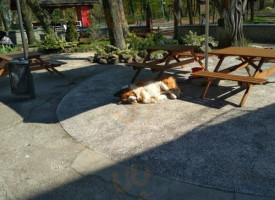 Dom Turysty Pod Wieżycą Exterior