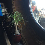 Przystań Nourriture