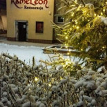 Kameleon Na zewnątrz