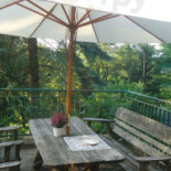 Leśny Ogród Cafe Wewnątrz