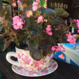 Piwnica Pod Nietoperzem Exterior