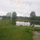 Ryby Lubie Nourriture