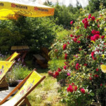 Zajazd Piastów À l'intérieur