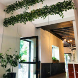 Oskoma Chybie Extérieur