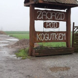 Zajazd Pod Kogutkiem Dania