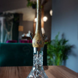 Dżungla À l'intérieur