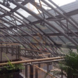 Królestwo Nourriture