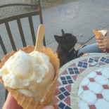 Bosko Radom Lody Produkcji Własnej Dania