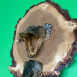 Pod Rybką Restauracyjny Dania