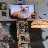 Billy's American Restaurants Dentro